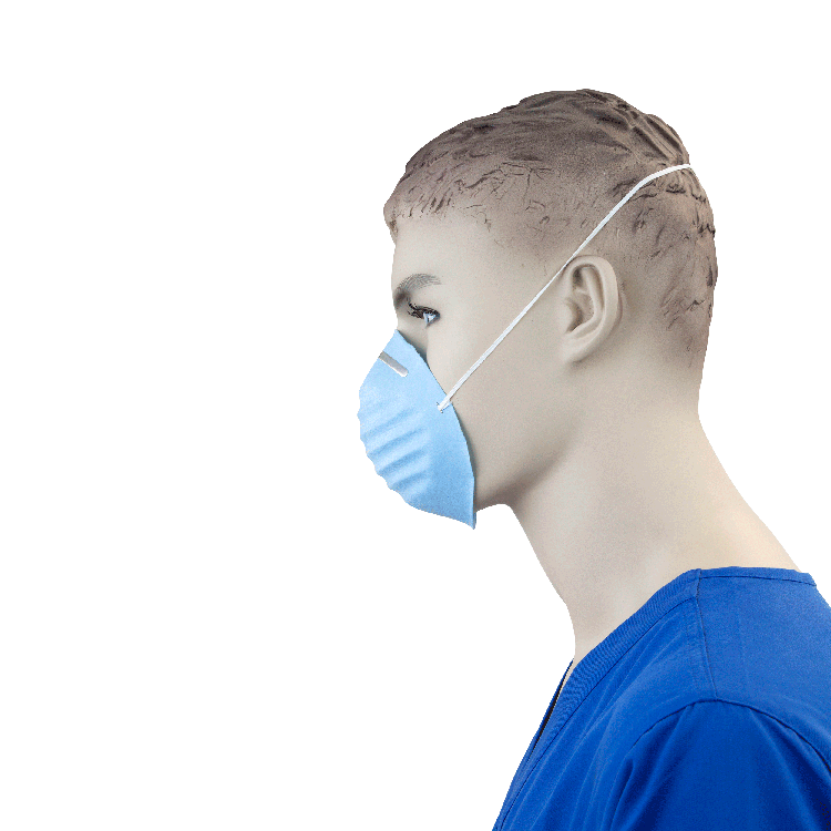 Dynarex Molded Face Mask, Blue, 20/50/cs