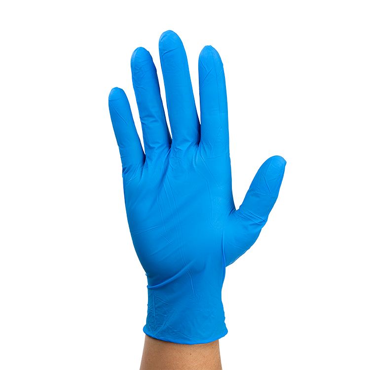 Dynarex Nitrile Exam Gloves In A Bag, Large, 2 Mil Thick, Powder-Free, Blue, 1 Pair / 500 Bags per Case