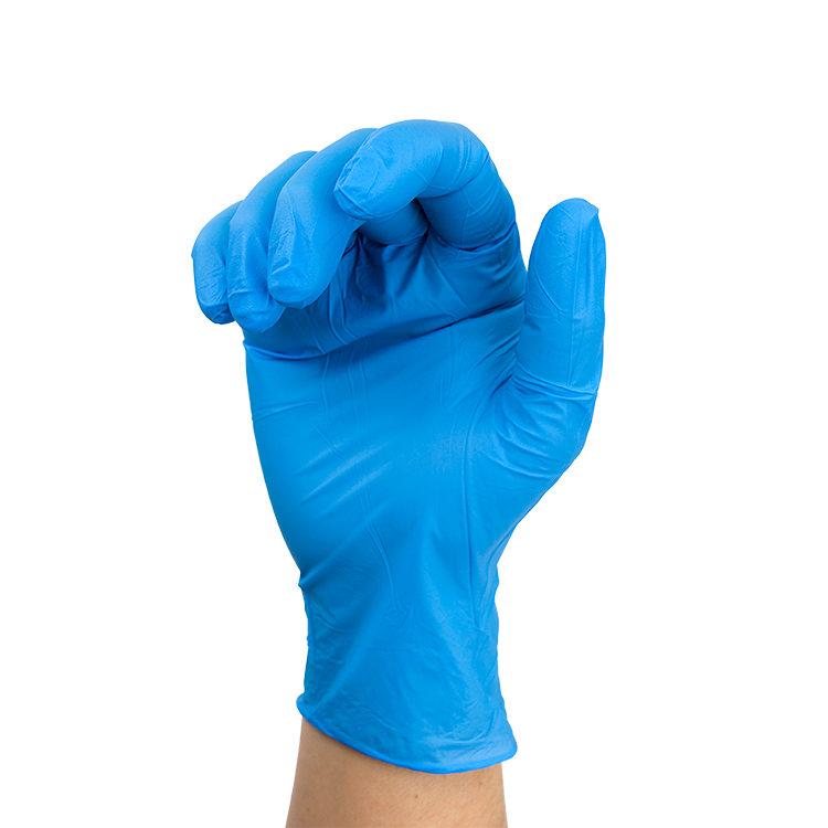 Dynarex Nitrile Exam Gloves In A Bag, Large, 2 Mil Thick, Powder-Free, Blue, 1 Pair / 500 Bags per Case